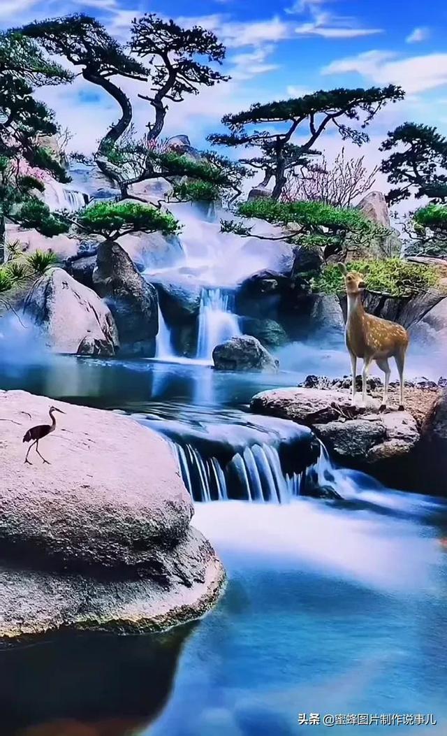 万词王