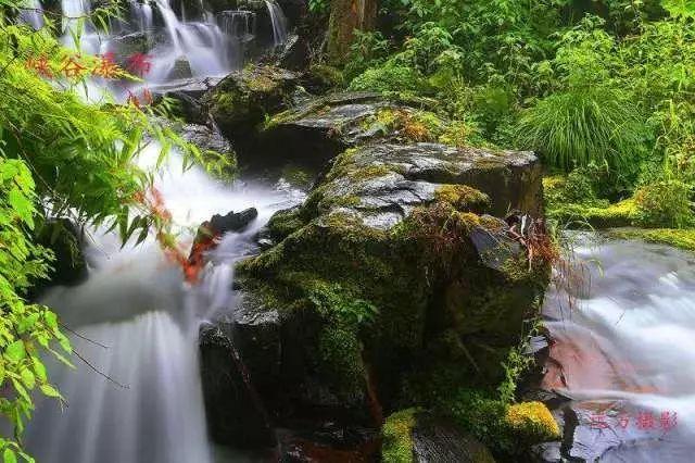 沪江开心词场