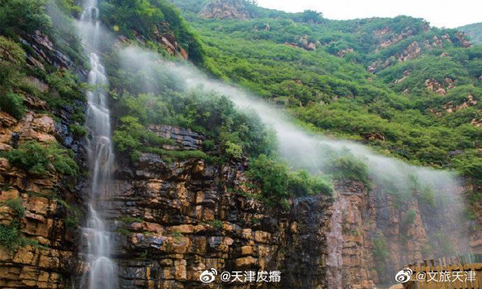 植物大战僵尸14