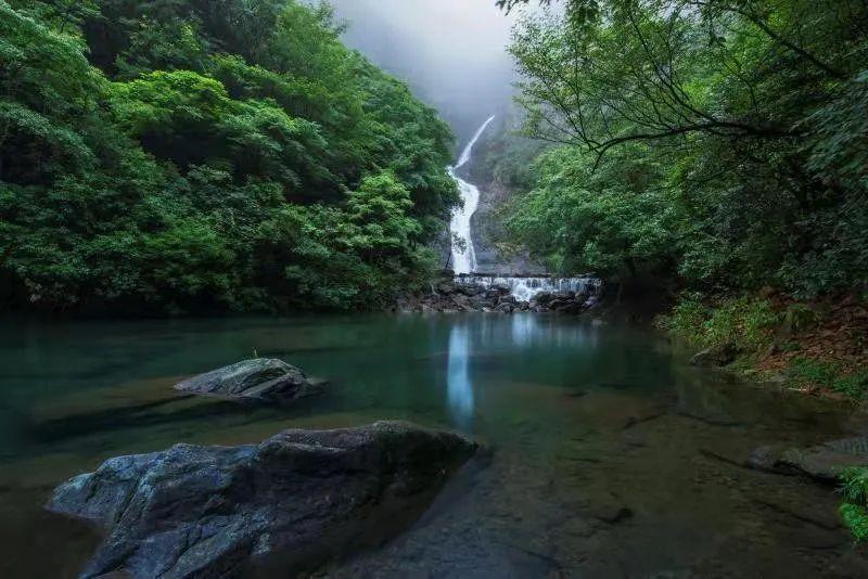 拯救巧虎3