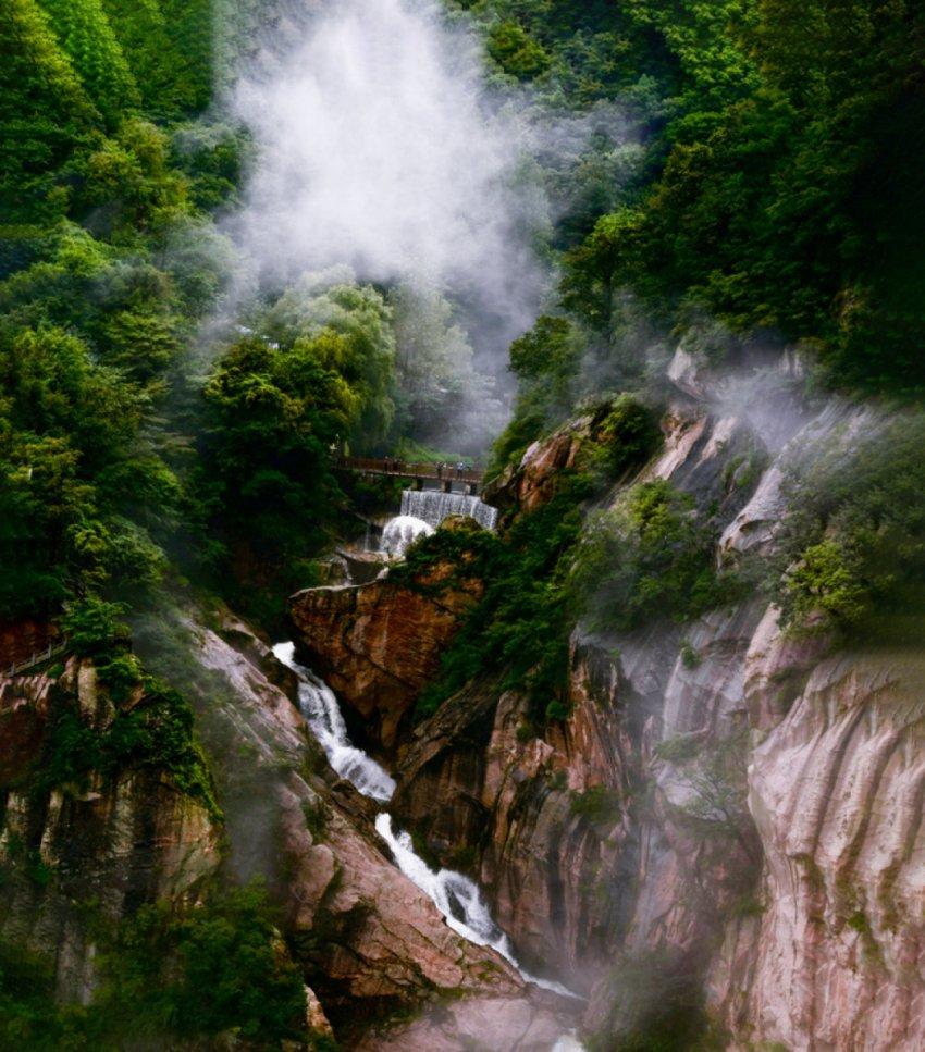 除虫大师