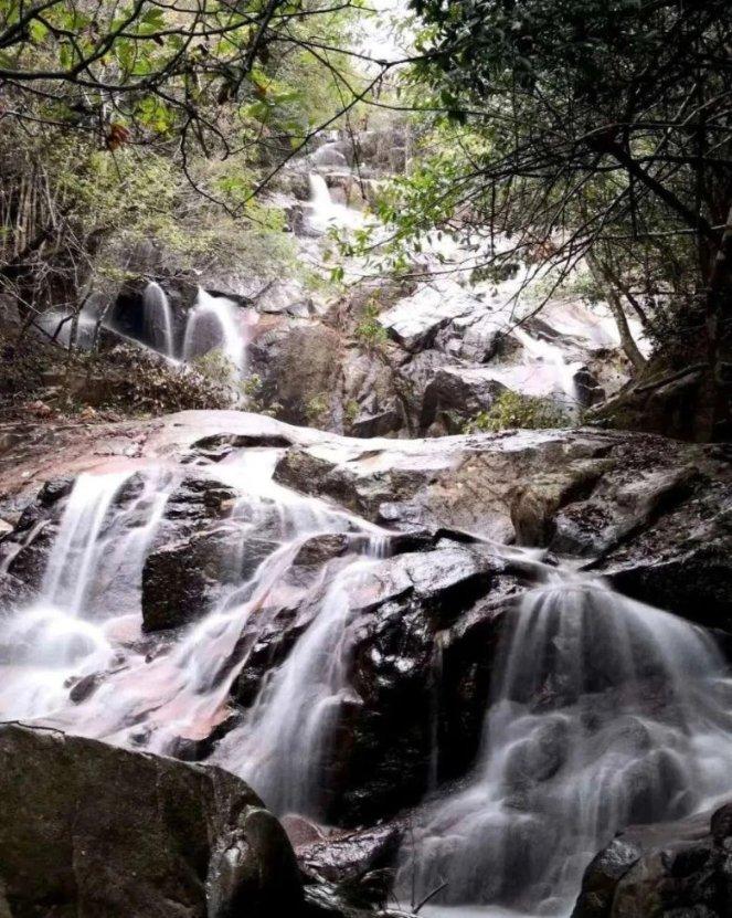 沪江开心词场