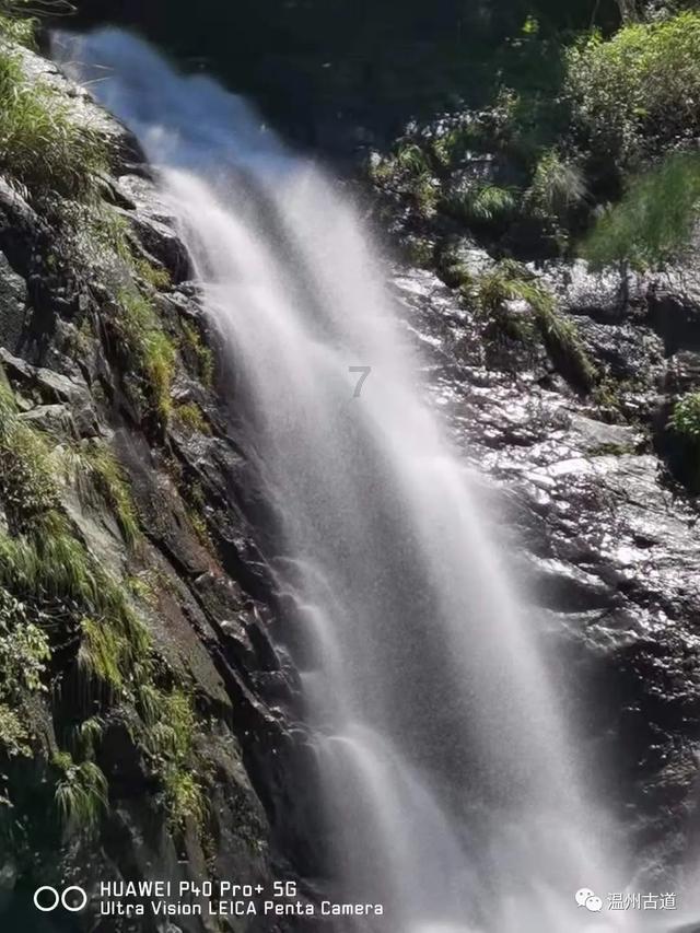 模拟山羊