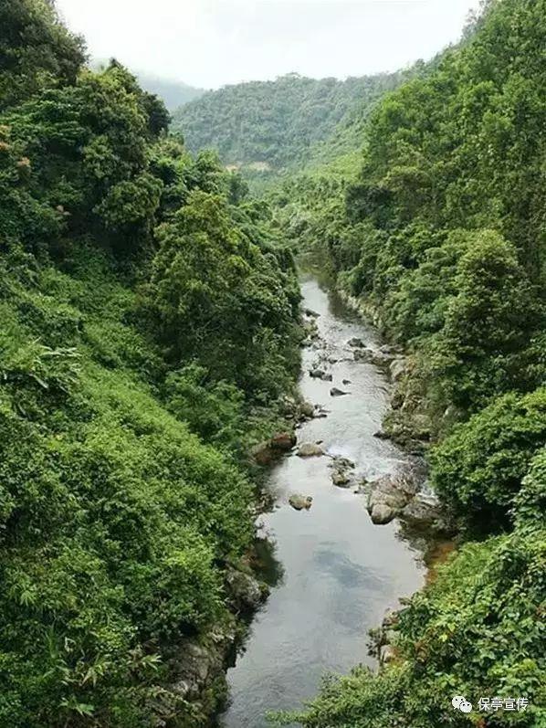 蒙托利沃:米兰无法与国米和尤文竞争冠军,不在同一个高度