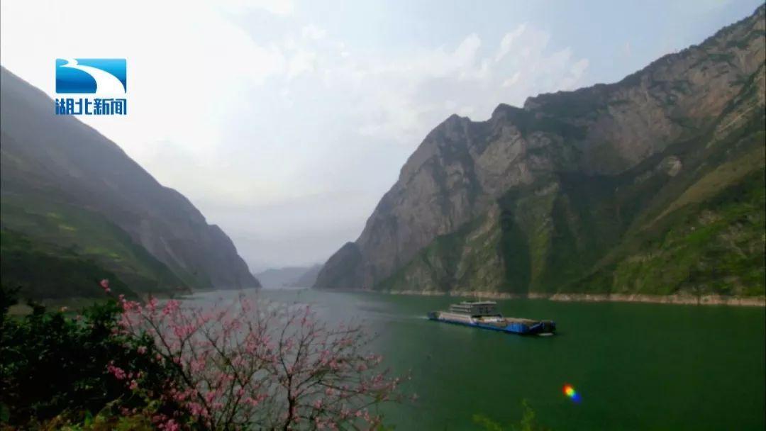 梦想牧场