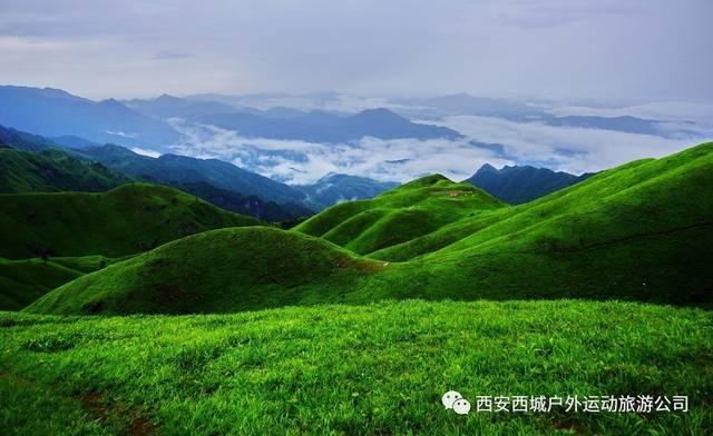 动物帮帮忙保卫家园