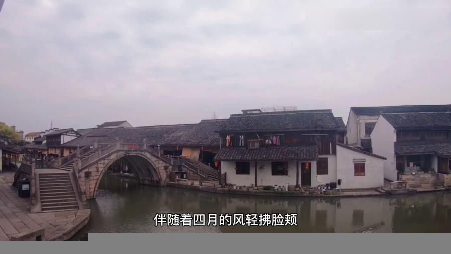 逗小猴开心系列190
