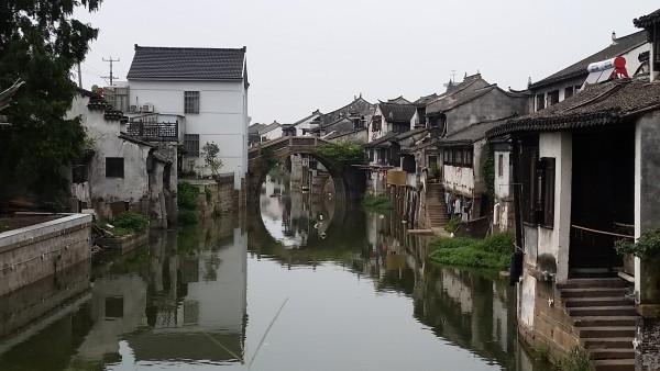 李一桐怕不是现实版“天山童姥”吧!丸子头一扎,简直比十八岁少女还少女