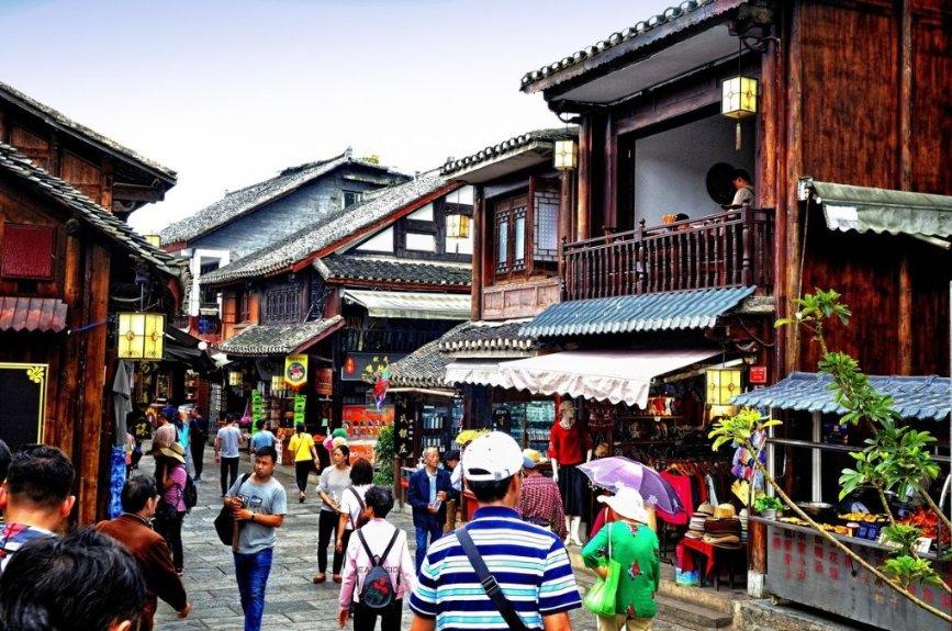 动物帮帮忙保卫家园