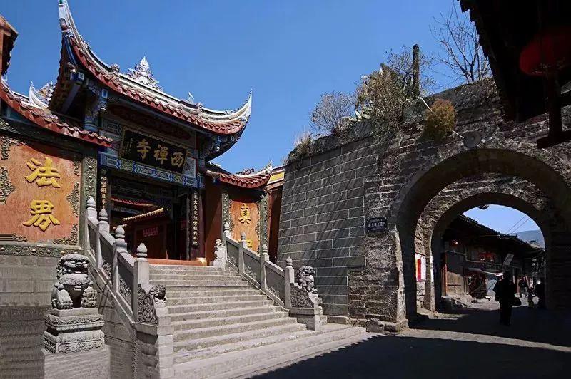 逃离变色龙森林