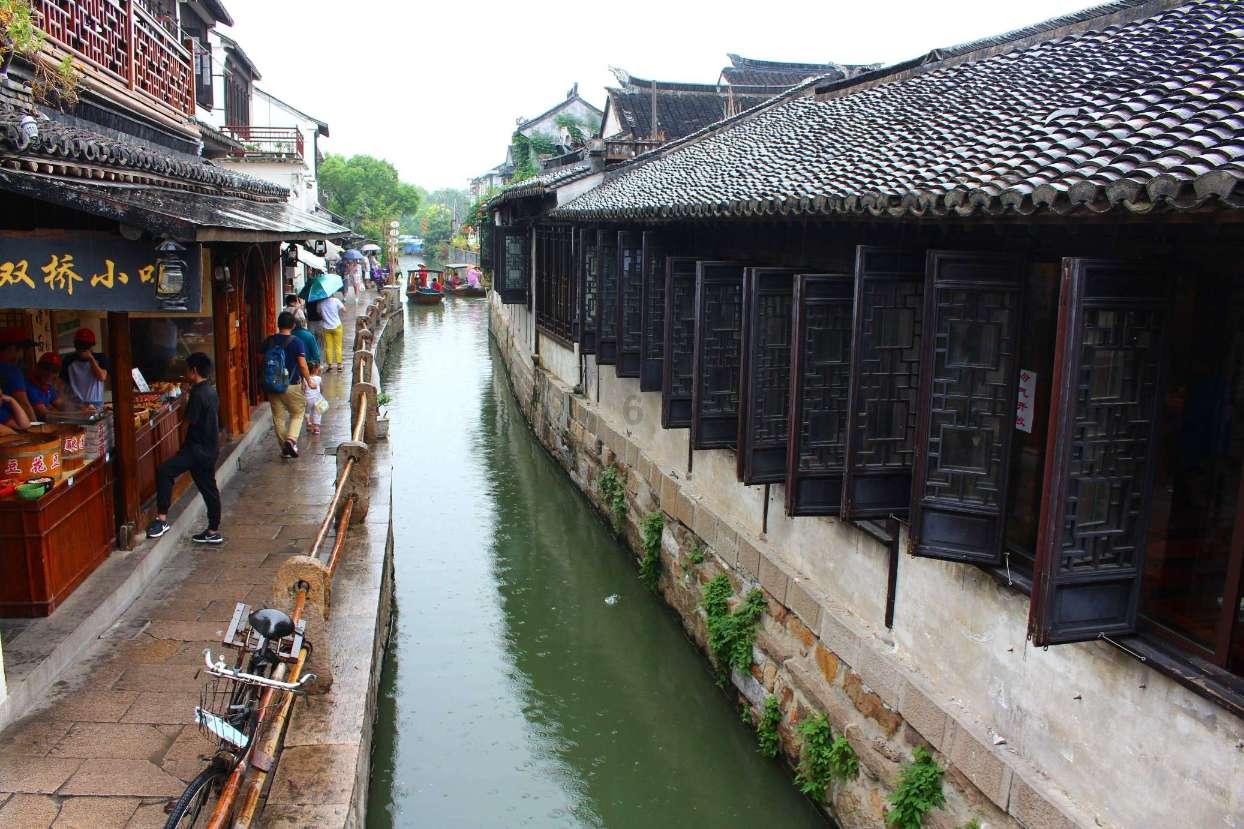 动物帮帮忙保卫家园