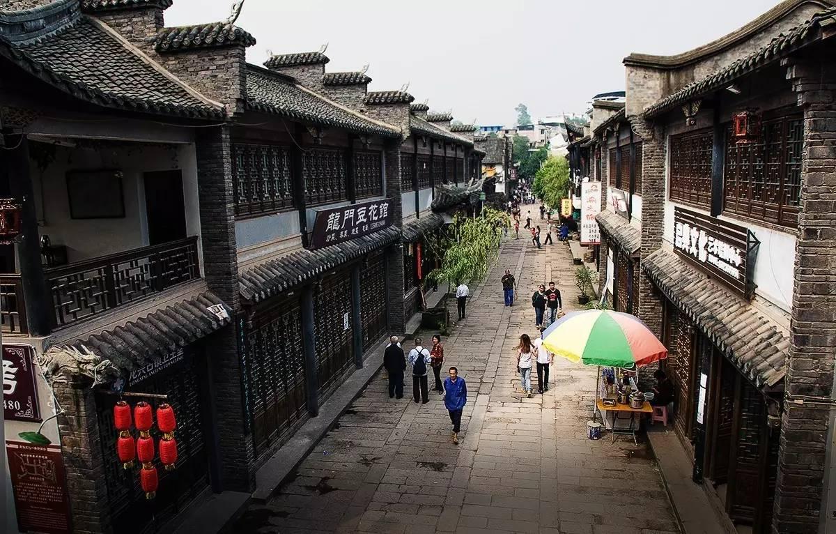 超会摆Pose的沙漠时尚模特:原驼 | 每日一图 狐瞰世界