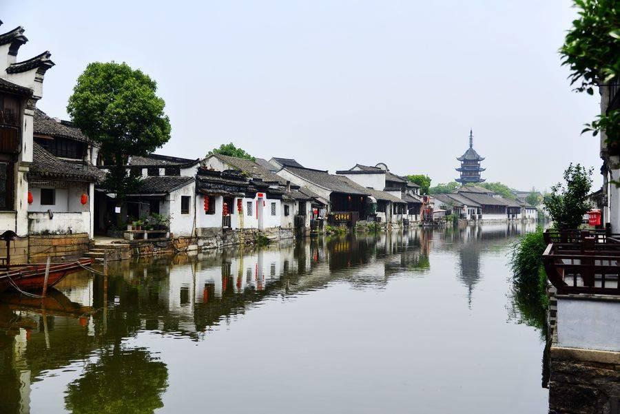 精灵格蕾
