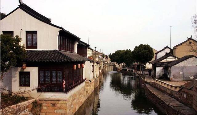 隆林：黑木耳助力群众端稳“致富碗”