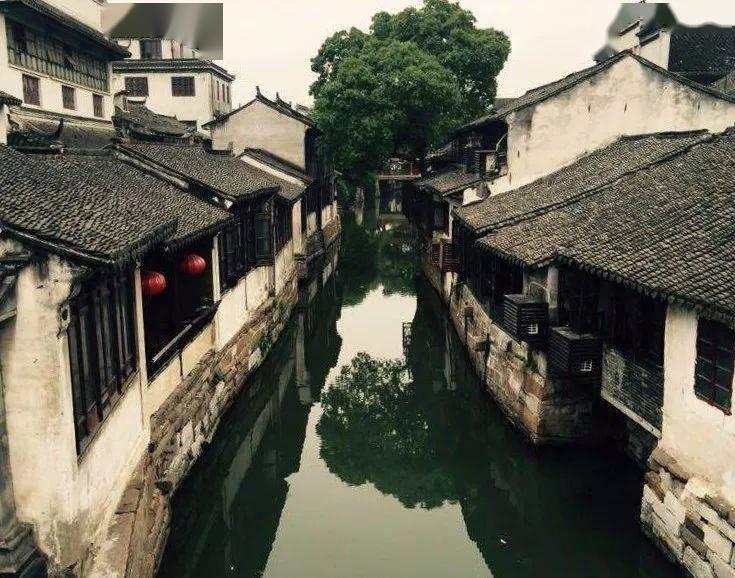 次元喵