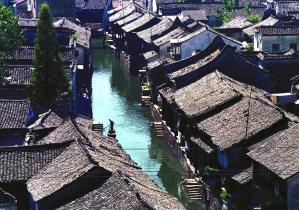 中巨芯：董事会审议通过《关于拟签订<投资协议书>暨投资设立全资子公司的议案》