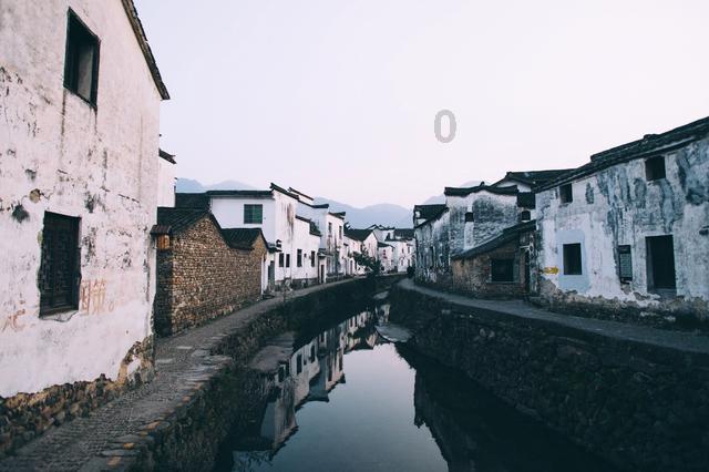 虫虫助手下载