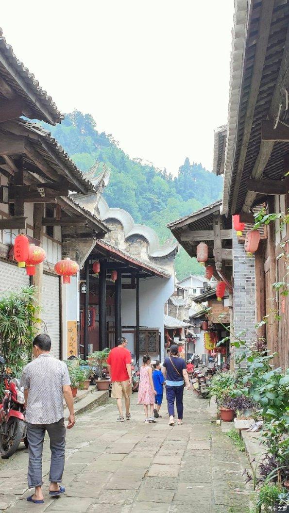 阴暗森林