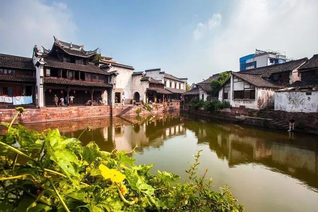 学习插花艺术
