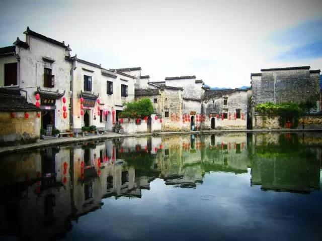 动物帮帮忙保卫家园