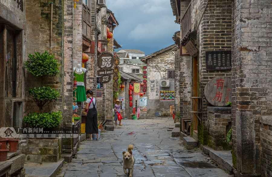 小猫钓鱼开船版最新版下载