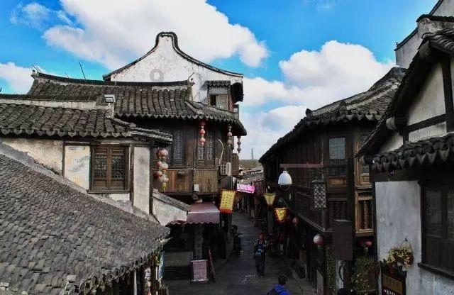 图文详解:八个最贵的葡萄品种介绍