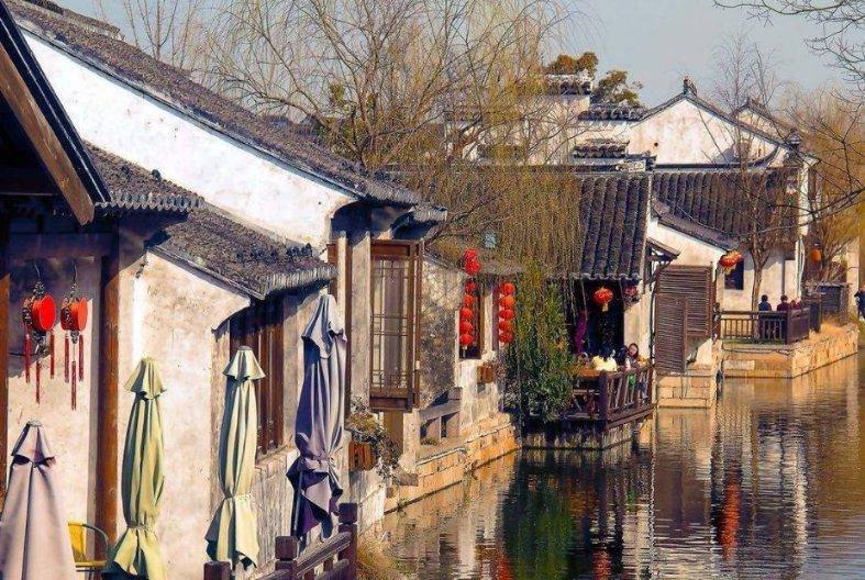 富贵竹叶子发黄游戏画面