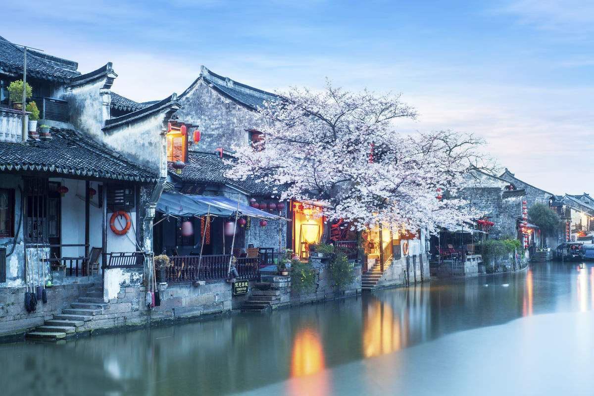 蓝狐视频