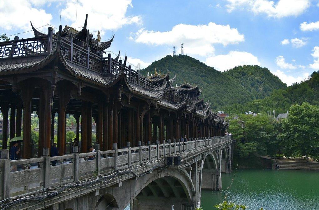 动物帮帮忙保卫家园