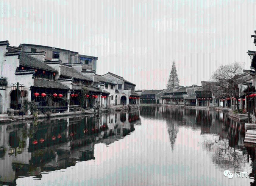 悲伤兔大冒险