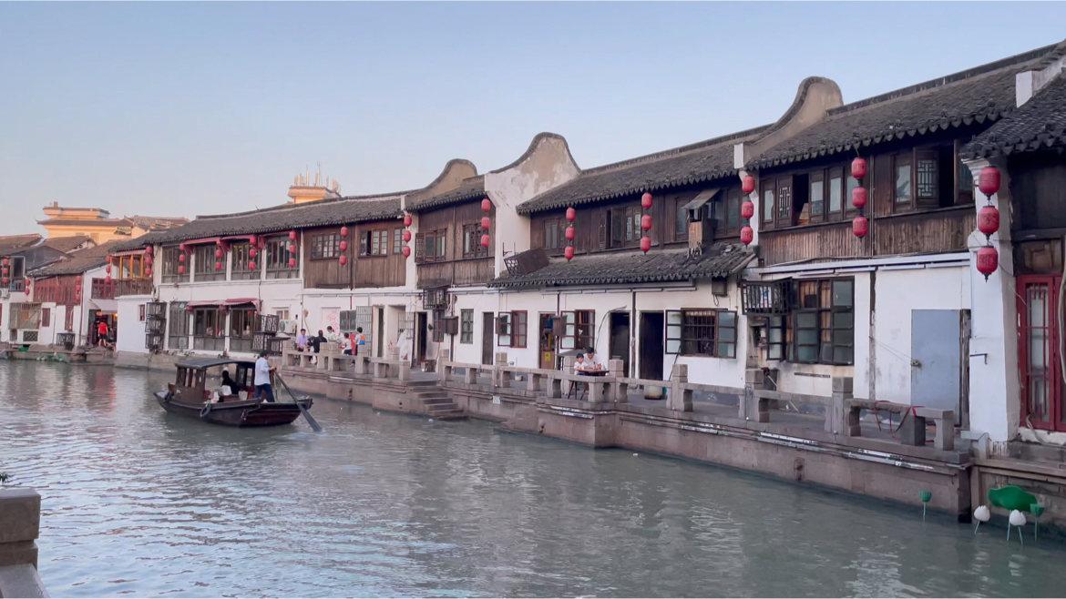 栈桥海滨,与鸥同“奏”