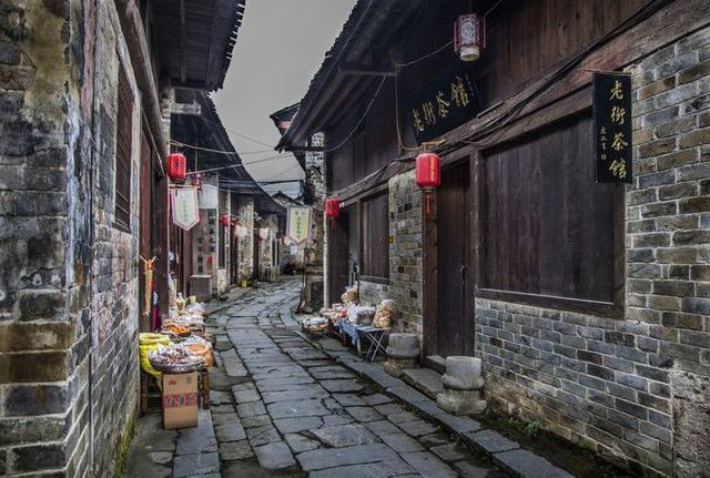 高效问答平台——中国人也吃不完,严重时兔子上百亿只,澳洲兔子泛滥到什么程度?,解决你的困惑