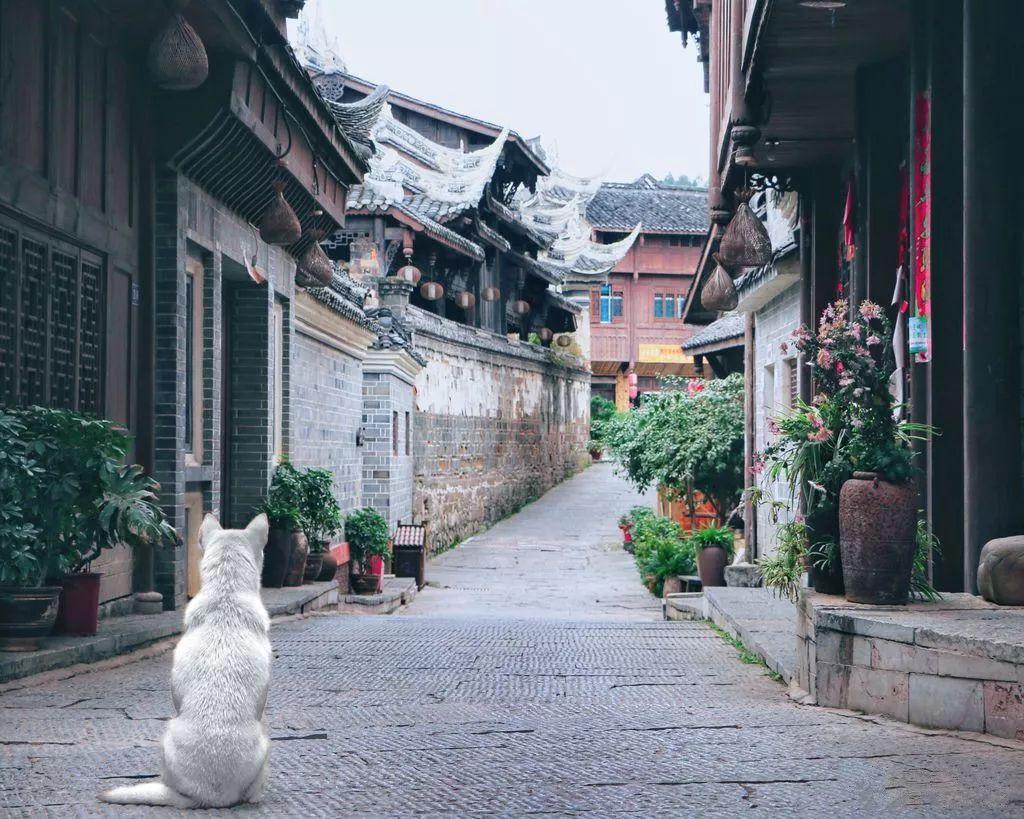 市发展改革委调研组到杞县调研我市中央预算内投资项目建设进展情况