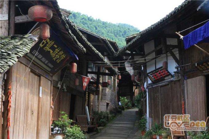 动物帮帮忙保卫家园