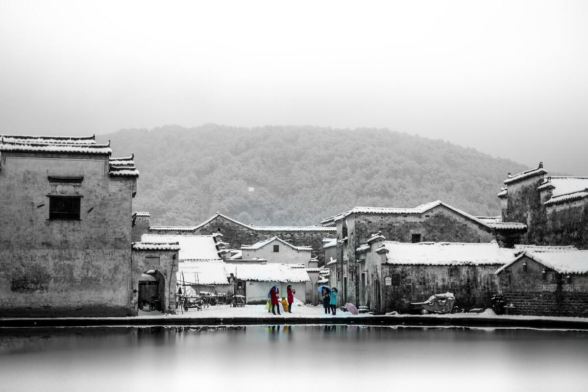 春雨直播app