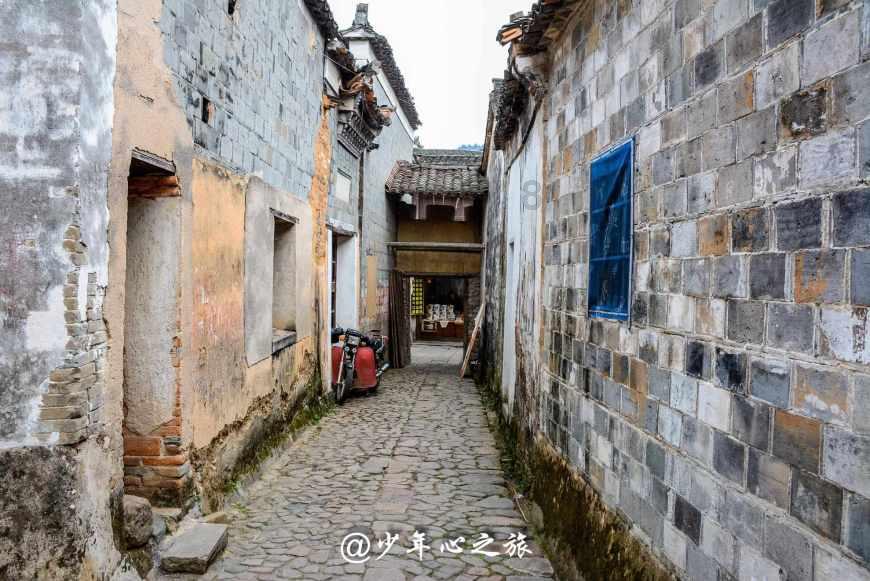 争夺奥运名额困难？林高远被压制，王皓用人固执，王楚钦需要解压
