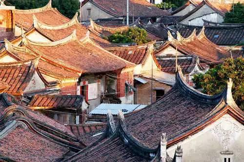 被蛇“追杀”5年的人,令人不可思议的真事,当年发生了什么?