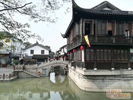 道奇蝰蛇找不同