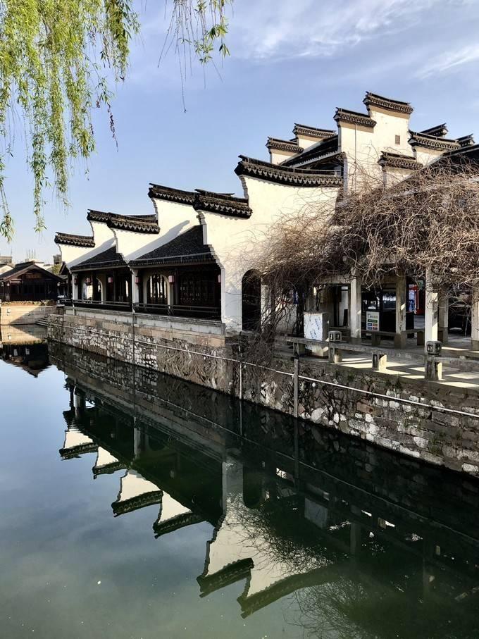 共话中国经济新机遇|世贸组织总干事:中国经济回升向好将推动全球贸易复苏