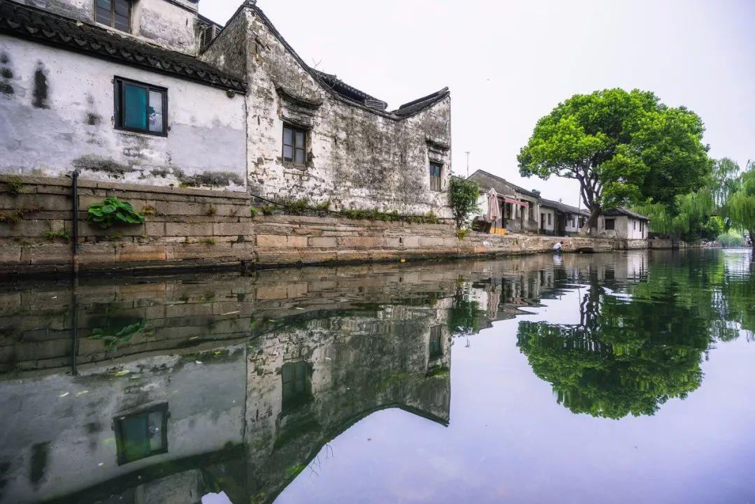 国家市场监管总局:将依法惩处侵犯知识产权等扰乱市场秩序的违法行为