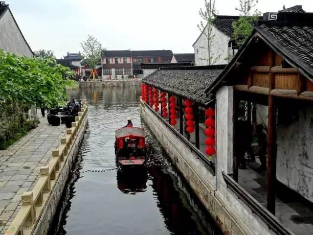 动物帮帮忙保卫家园