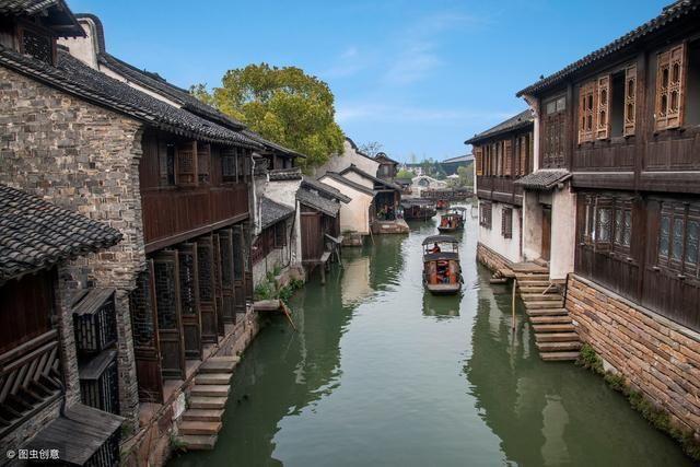 可爱小猫向上跳