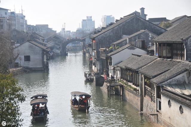 细胞分裂5