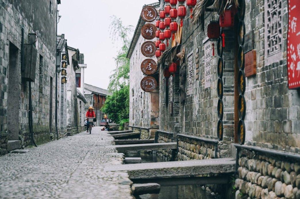 破碎的动物图形2