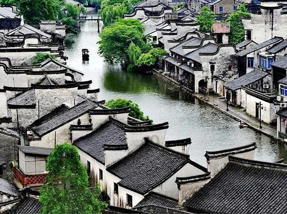 动物帮帮忙保卫家园