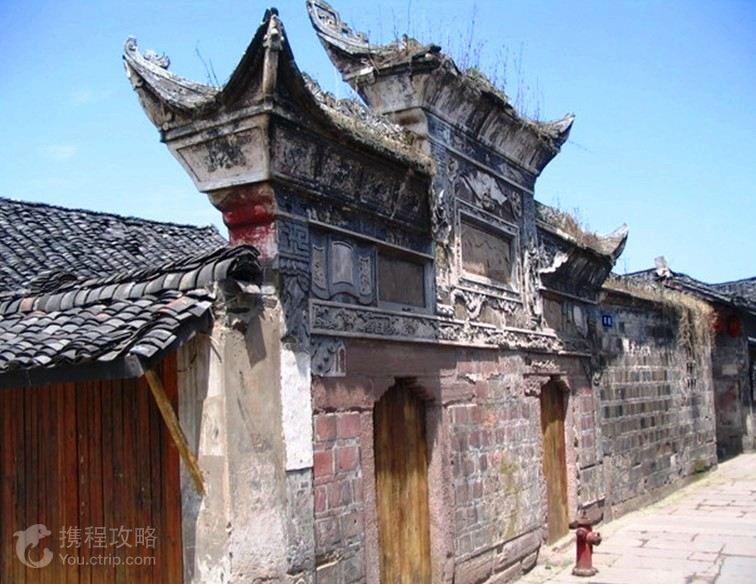 洋柿子软件游戏画面
