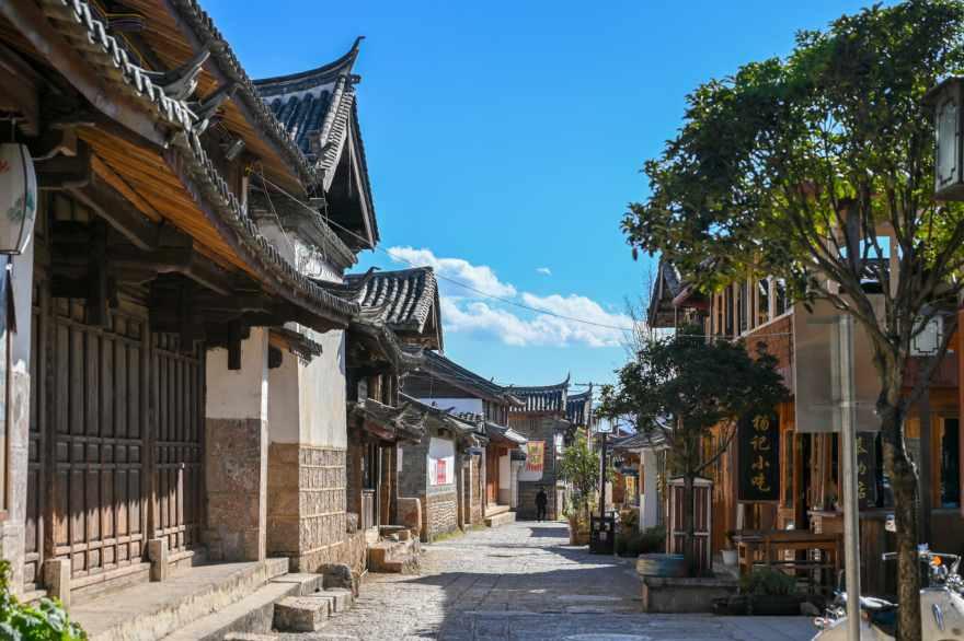 僵尸顶顶乐