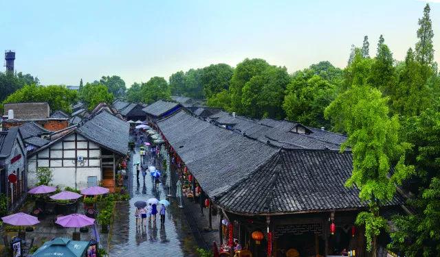 张雨绮兔女郎登场！性感与纯真的完美结合