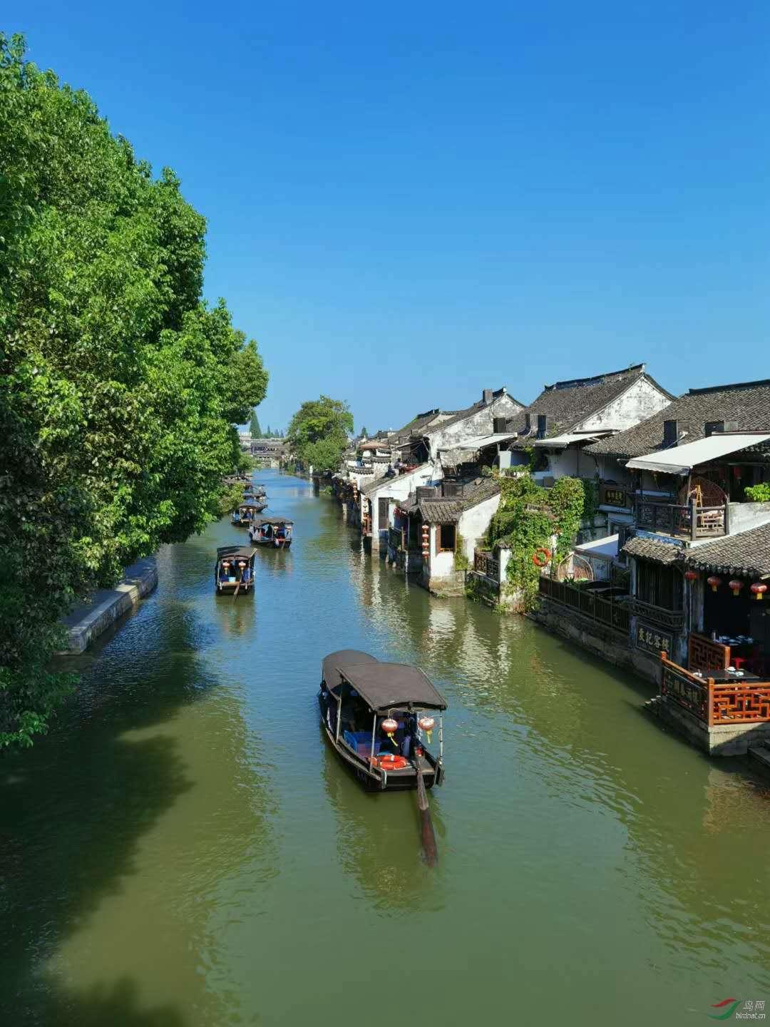 像素排球大作战