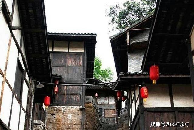 动物帮帮忙保卫家园